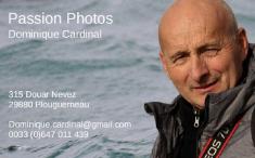 Cardinal