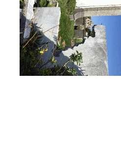LocalAsso-5